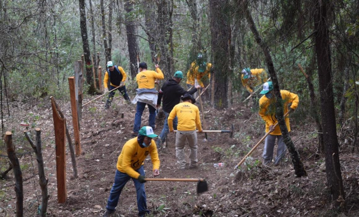 Continúan las jornadas contra incendios forestales