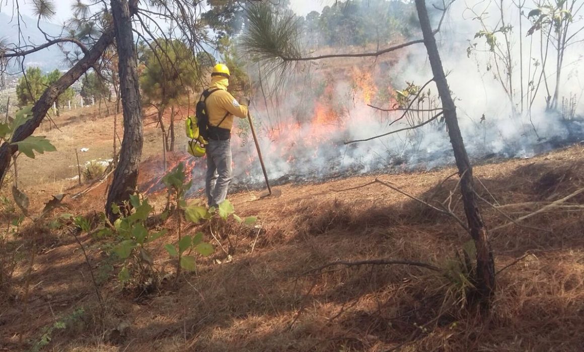 Morelia El Municipio M S Afectado Por Incendios Forestales En