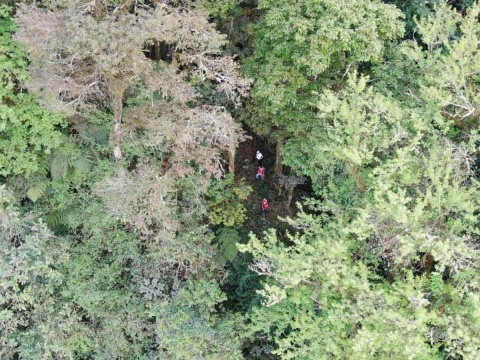 Joven Desaparece En Hidalgo Hallan Su Cuerpo En Barranco