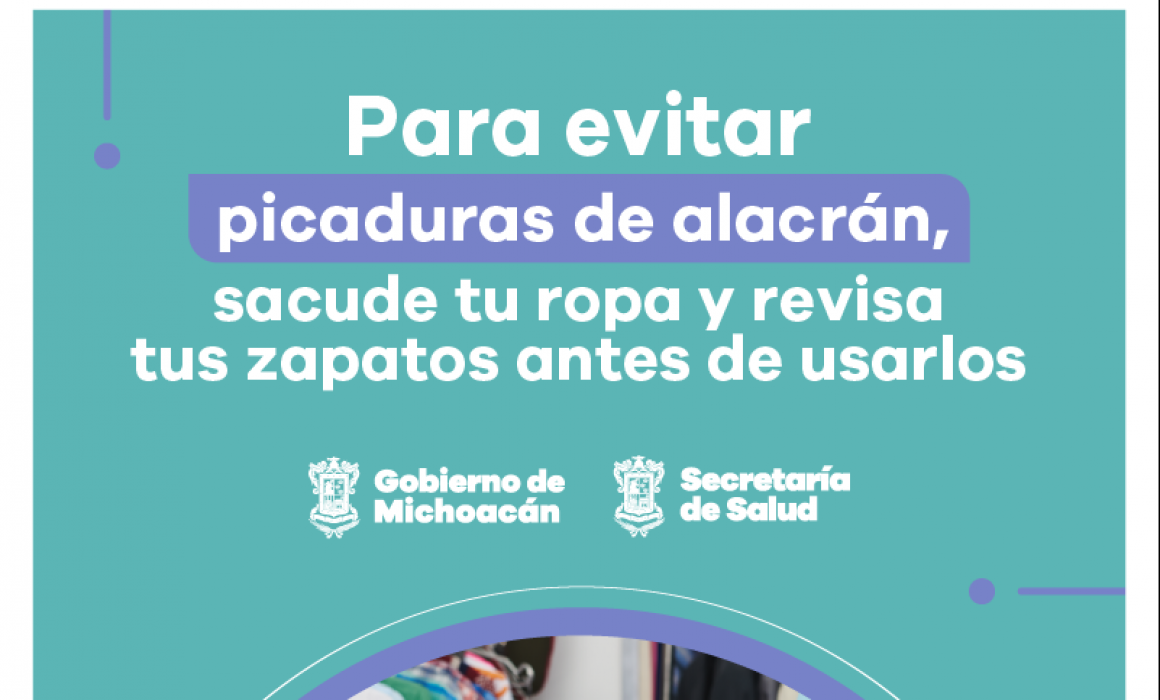 Emite SSM recomendaciones para prevenir picadura de alacrán Quadratín