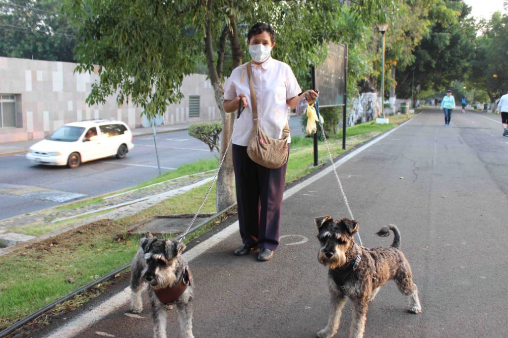 Habrá campaña de esterilización de perros y gatos