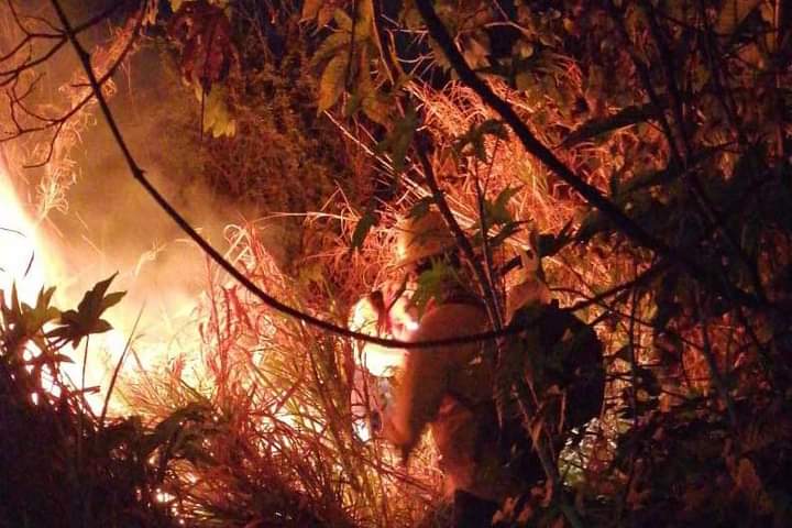 Indagan Incendio Intencional En Uruapan Reportan Hect Reas Da Adas