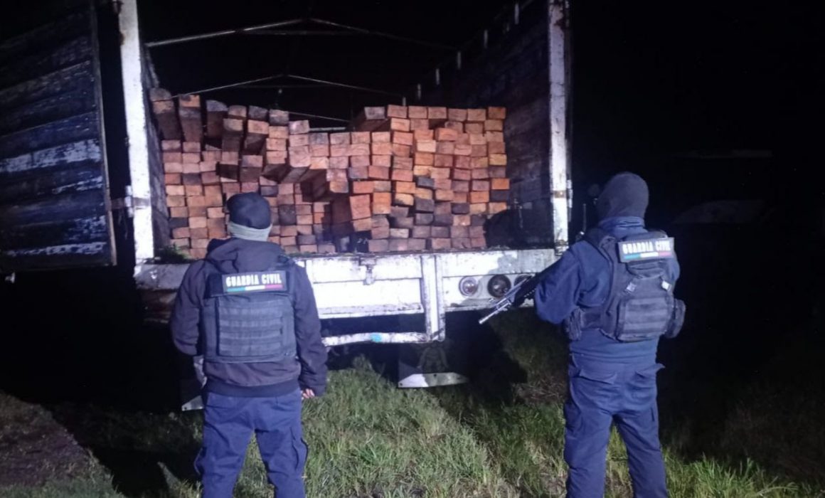 Asegura la SSP 200 piezas de madera presuntamente ilegal en Zitácuaro