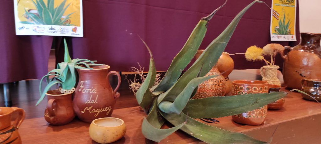 M S De Sabores Deleitar N En La Feria Del Maguey En Maravat O