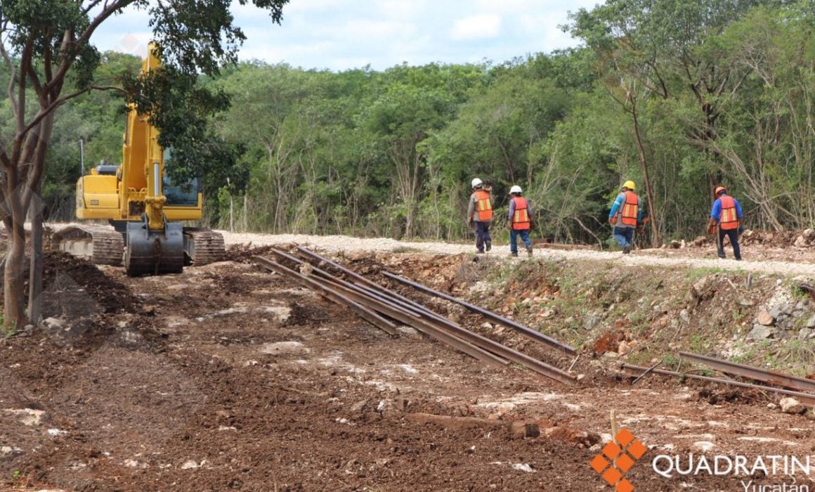 Realiza Profepa Acciones De Protecci N En Trabajos Del Tren Maya