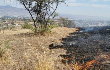 Incendio consume 7 5 hectáreas del cerro El Mayorazgo Tacámbaro