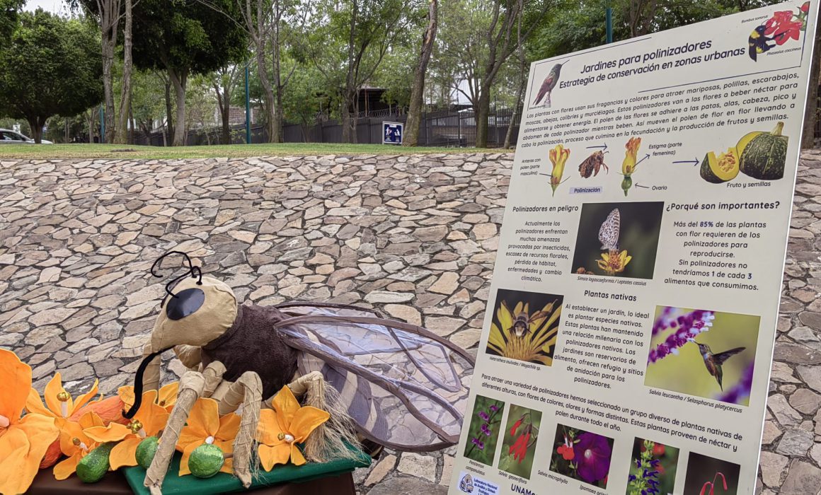 La Unam Protege La Biodiversidad Con Jardines Para Polinizadores