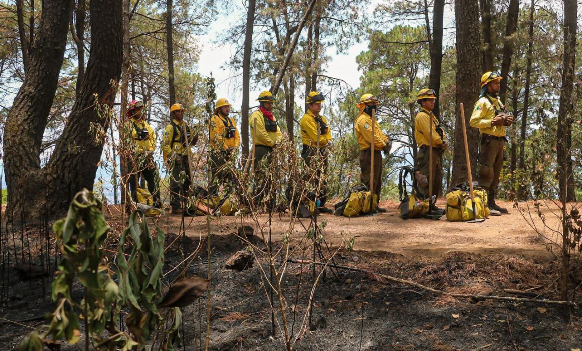 Mantiene Seduma Acciones Preventivas De Incendios Forestales En Uruapan