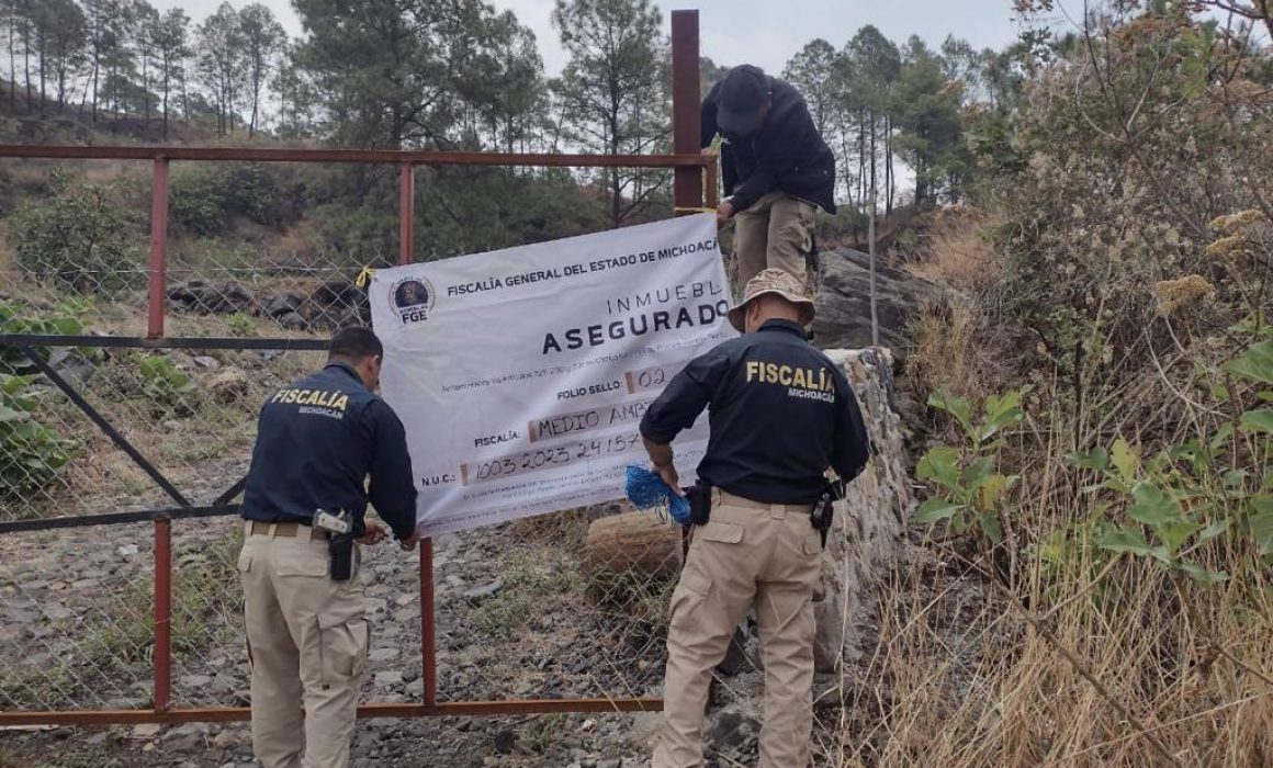 En Ziracuaretiro Asegura Fge Predio Por Plantaci N Ilegal De Aguacate