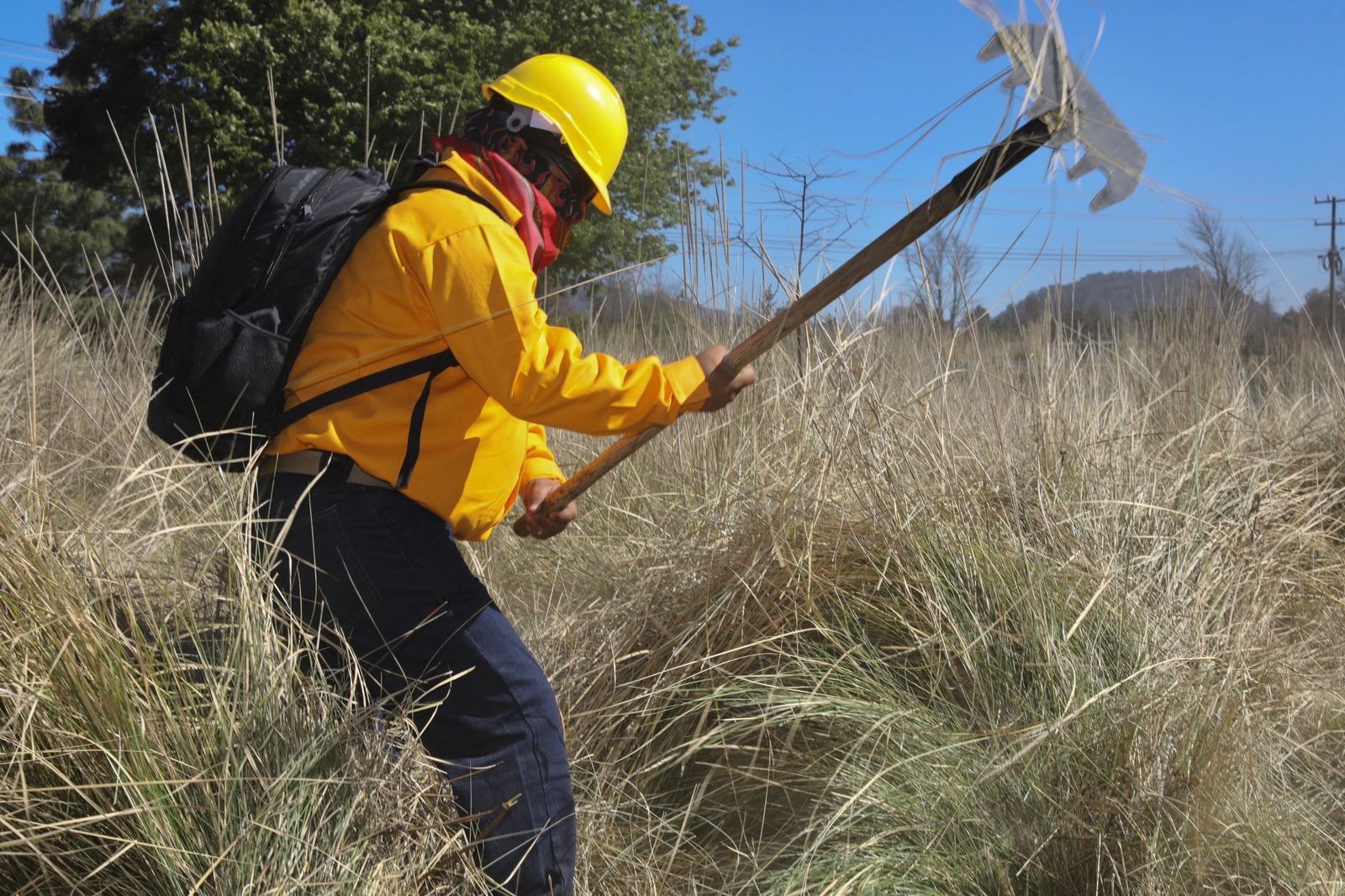 Combaten 1 200 brigadistas incendios forestales en Michoacán