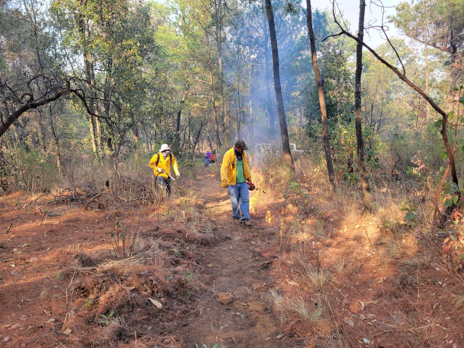 Atienden brigadistas 6 incendios en Michoacán Cofom Quadratín Michoacán