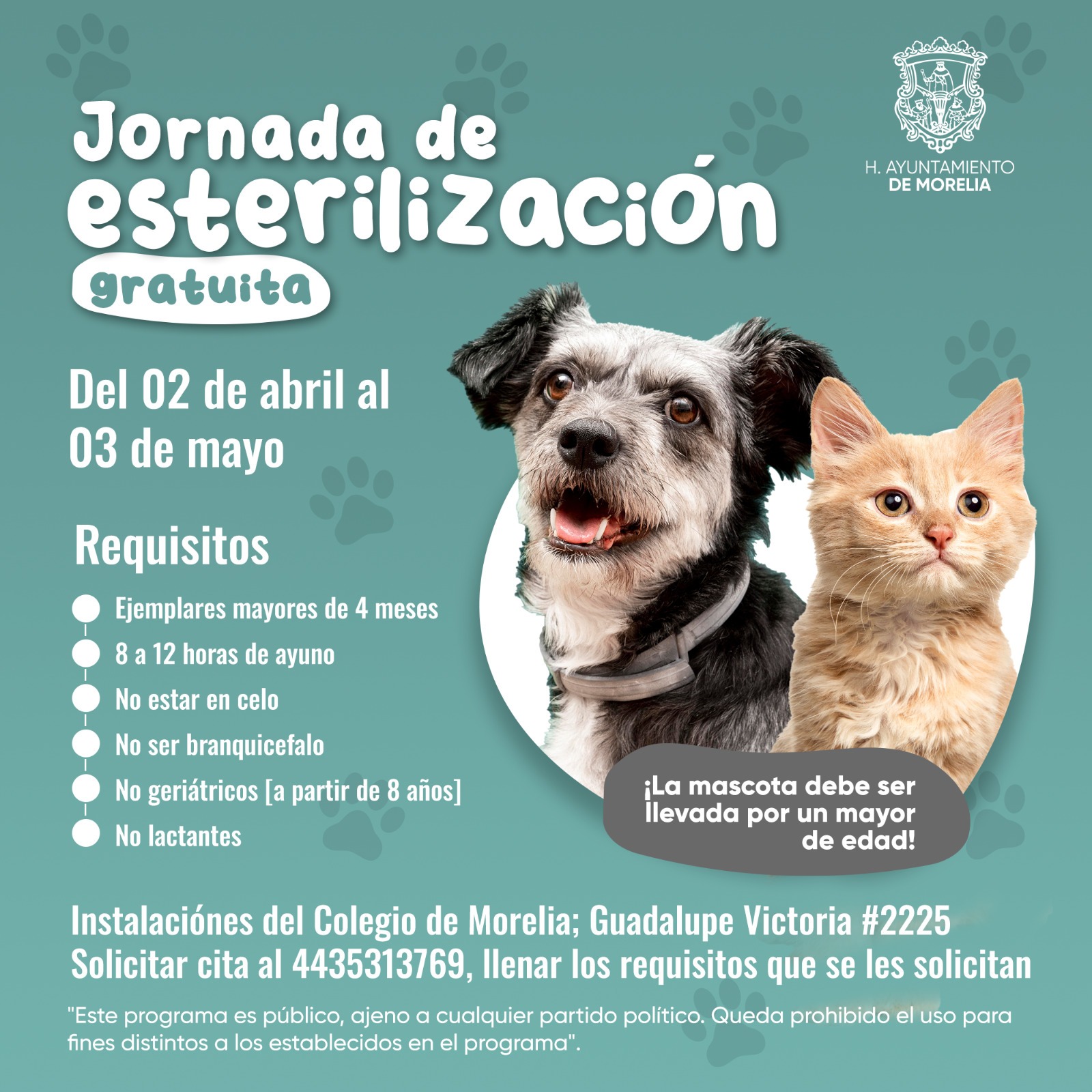 Invita Morelia A La Jornada De Esterilizaci N Para Mascotas