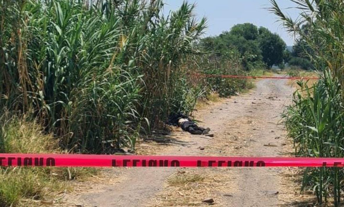 Hallan un cadáver en camino de terracería en Álvaro Obregón Quadratín