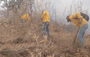 Controlados incendios en Pátzcuaro y Zitácuaro pendiente 1 en Turicato