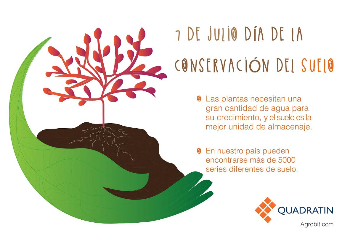 Este jueves, Día Internacional de la Conservación del Suelo ...