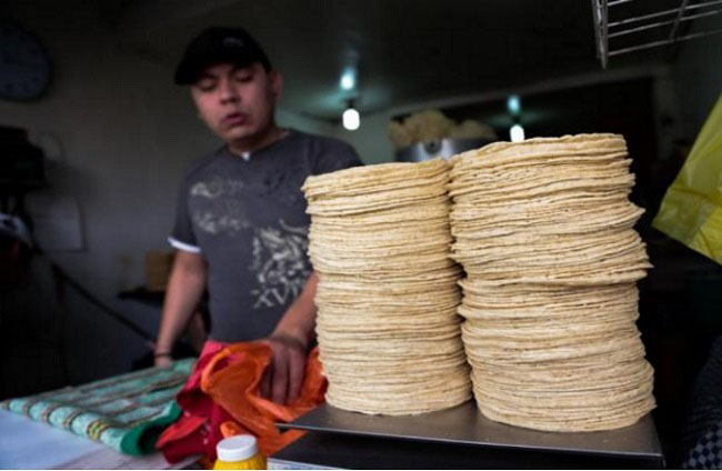 Reglamentar industria de la masa y la tortilla, propone Brenda Fraga - Quadratín Michoacán
