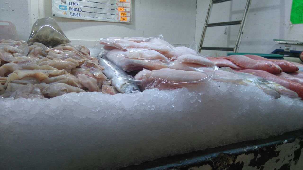 Estos son los precios actuales del pescado y mariscos en Morelia