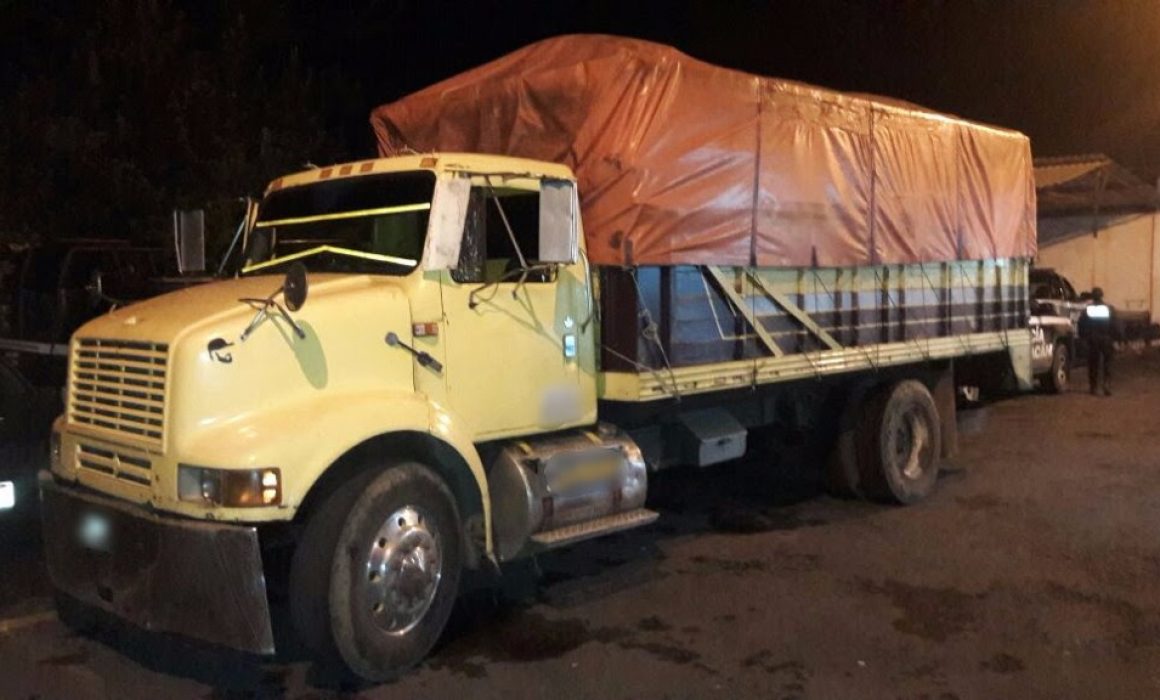 SSP  SSP recupera 2 tractocamiones robados, en Uruapan: cargaban más de  7.4 toneladas de aguacate