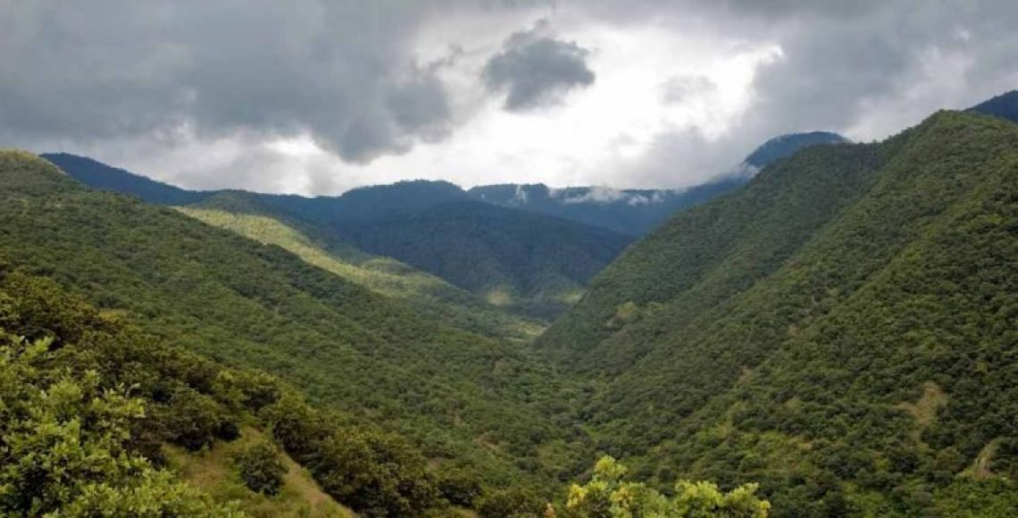 Parque Nacional Benito Juárez, En Oaxaca, Cumple 80 Años