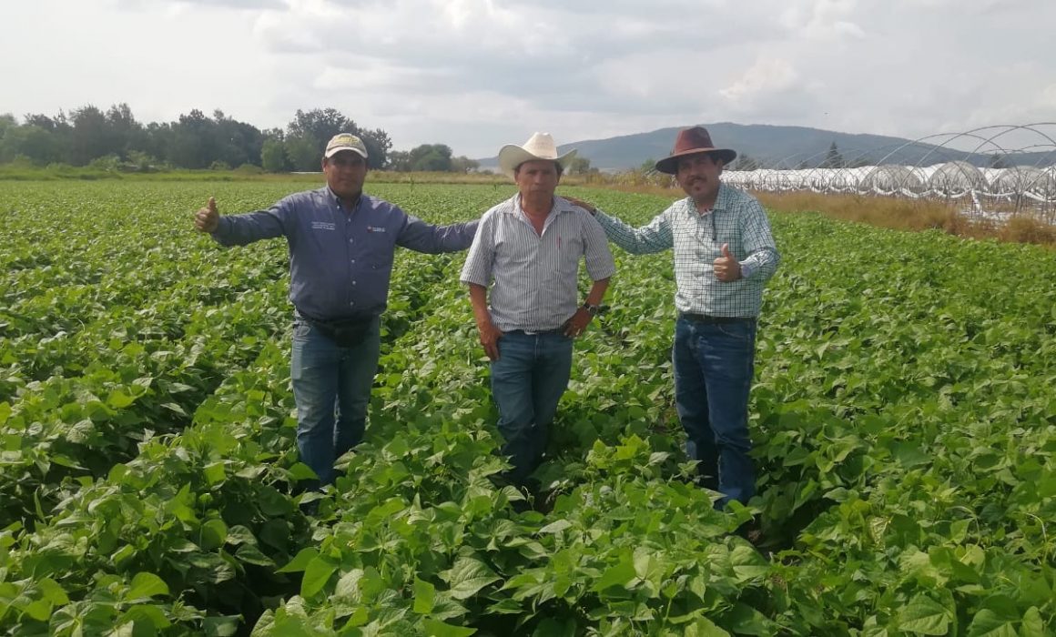 Agricultura Sustentable, Una Política Pública En Michoacán: Sedrua