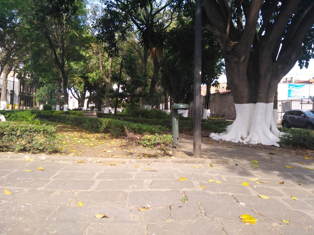 A la baja, presencia de sexoservidoras en calles de Morelia