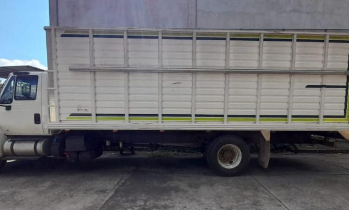SSP  SSP recupera 2 tractocamiones robados, en Uruapan: cargaban más de  7.4 toneladas de aguacate
