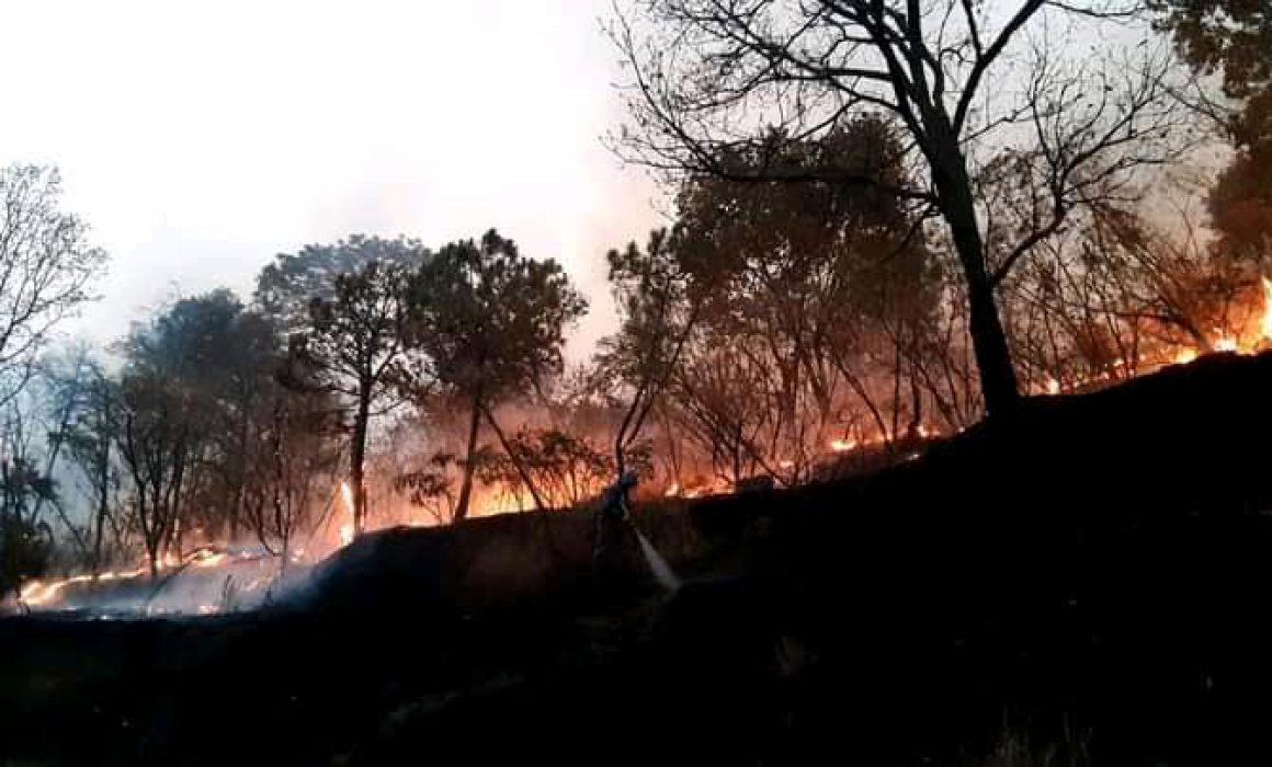 Muere brigadista en combate al incendio del Cerro del Águila