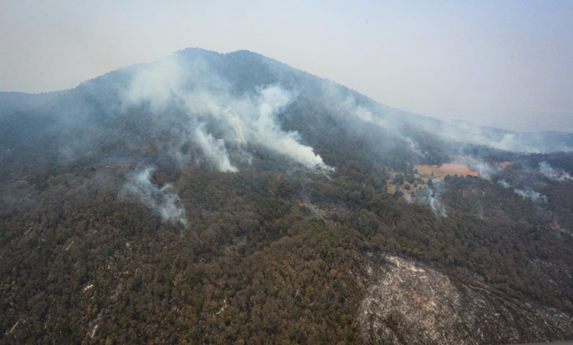 Cerro del Águila, de las zonas más vulnerables a incendios: Saderma