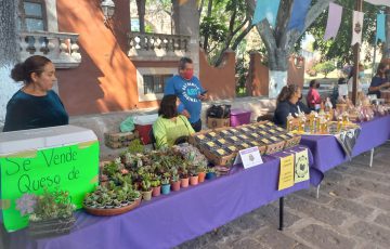 Morelia: arranca primera edición del Mercadito Rural con 50 productores