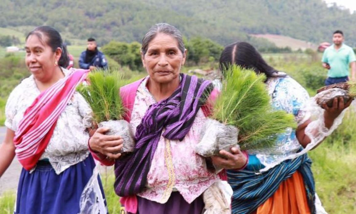 Respalda Ramírez Bedolla A Indígenas En Preservación De áreas Naturales 1798