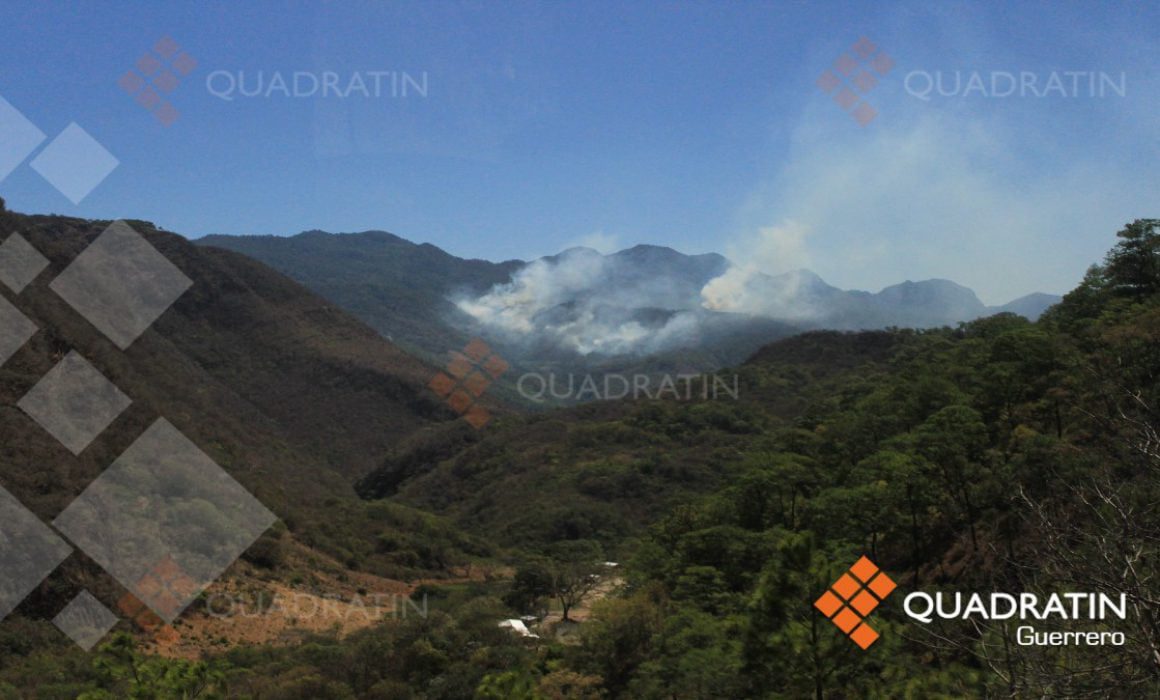 Guerrero Estado Más Afectado Por Incendios Forestales En El País 8968