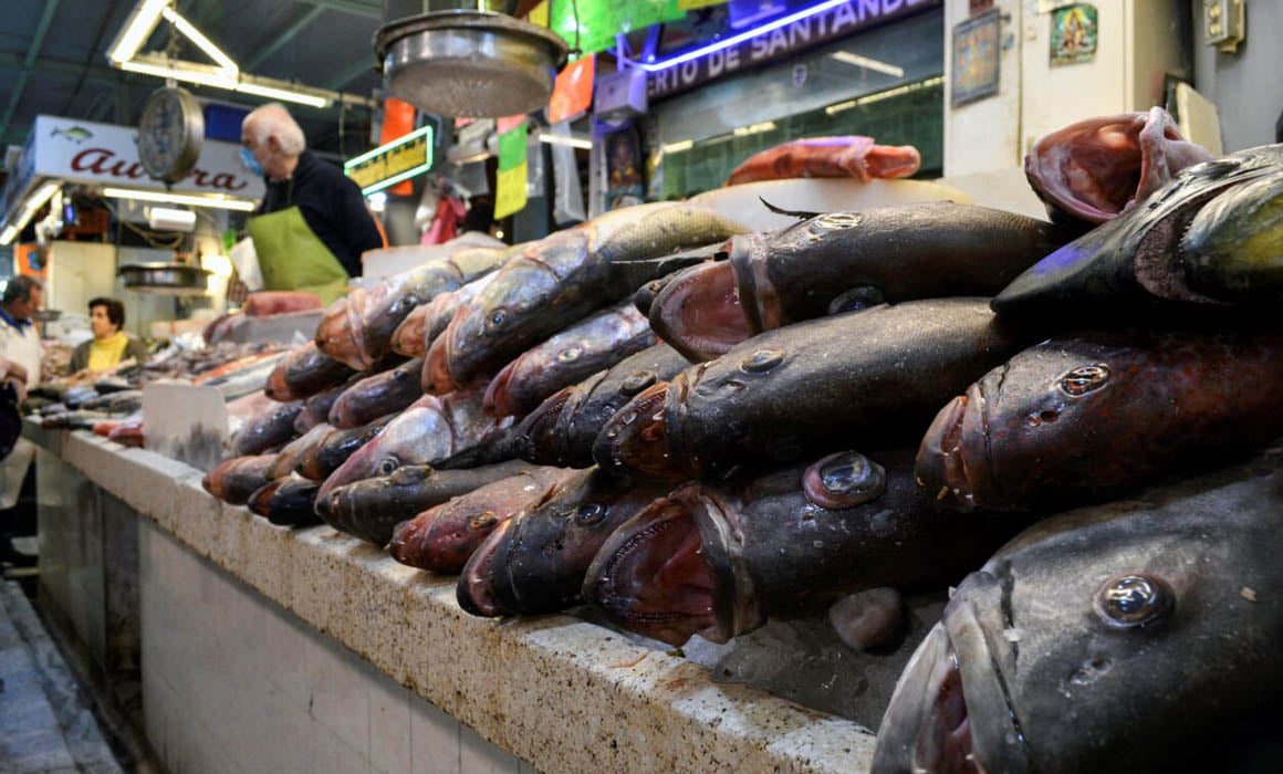 Acercarán pescados y mariscos a bajo costo a regiones de Michoacán