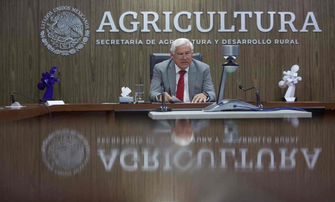 Trabaja México En Sistema Alimentario Justo Y Accesible Agricultura 2695