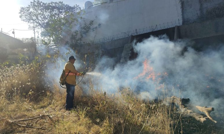 Registra Morelia hasta 4 incendios diarios de pastizales o lotes baldíos