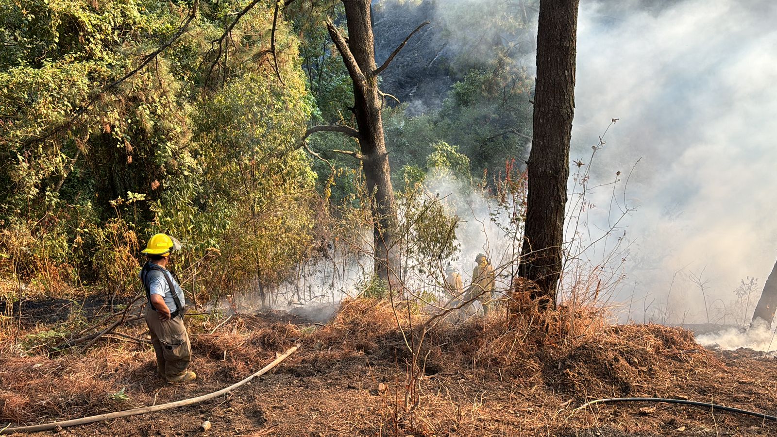 Controlan brigadistas incendio forestal en el Cerro de la Cruz en ...