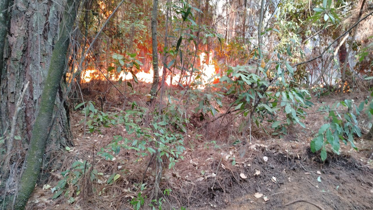 Brigadistas controlan incendio en el Cerro de la Charanda - Quadratín ...