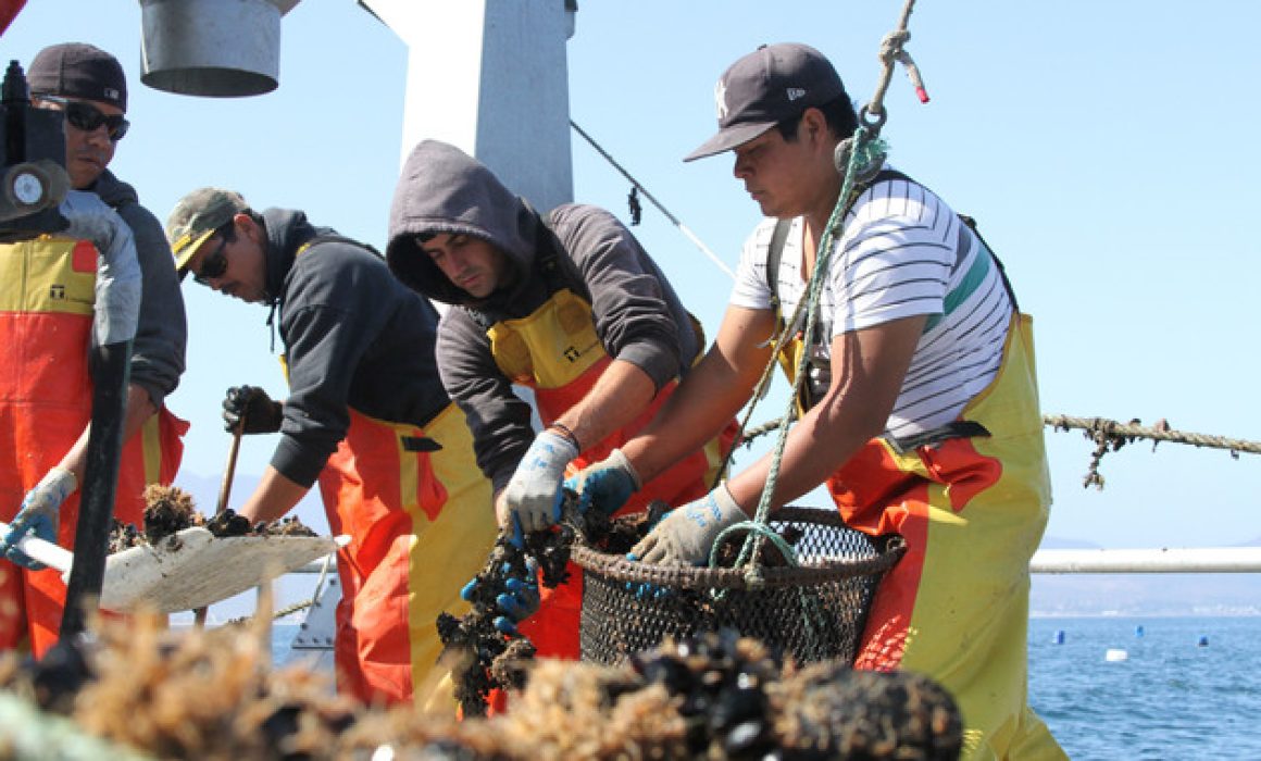 Con Bienpesca distribuye Gobierno de México 7,500 pesos a pescadores -  Quadratín Michoacán